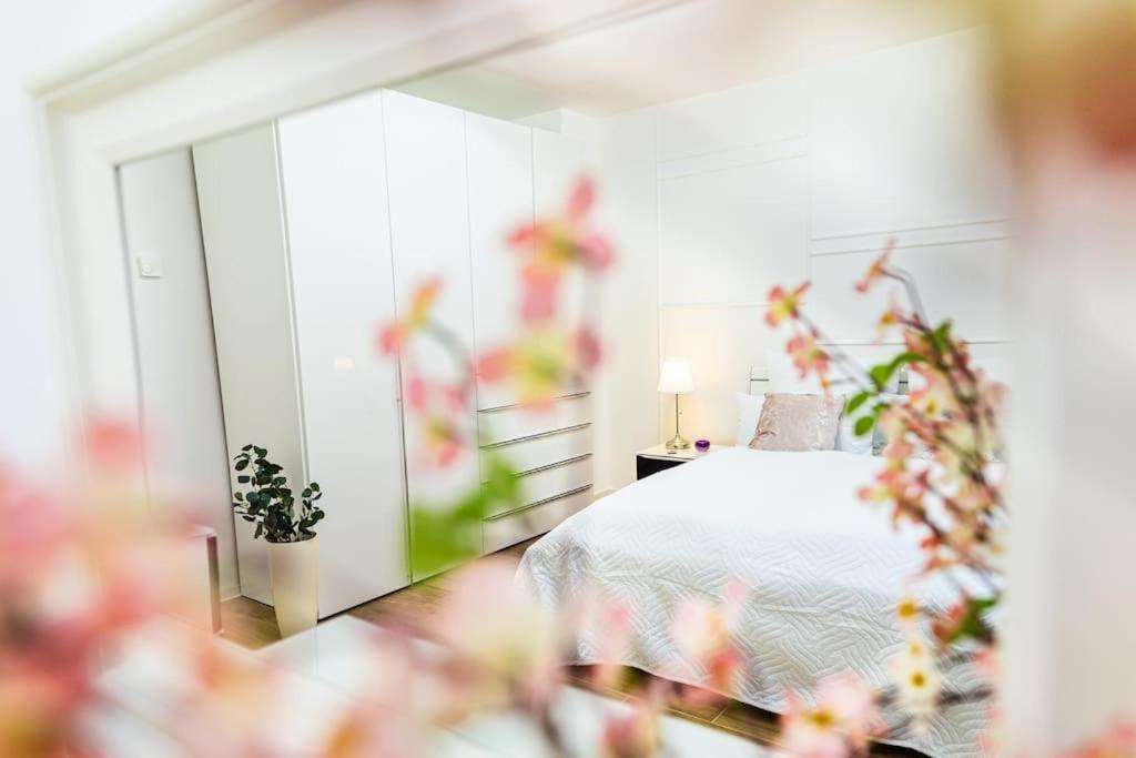 Charmante Wohnung In Koblenzer Innenstadt Koblenz  Eksteriør billede